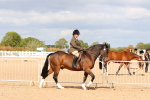 SBM_15459