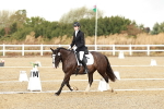 SBM_002647