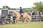 SBM_15937