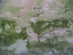 Raymark Industries (Manheim, PA) | Mold Detail