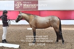 BPP_1414