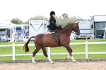 SBM_03307
