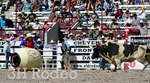_DSC1249