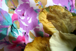 Flowers Set 04 - 01