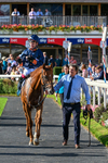 220826-Race 6-Sale Shark-1658