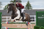 BPP_3931