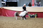SBM_17322