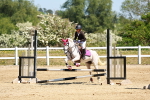 SBM_007400