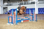 SBM_007008