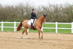 SBM_006781