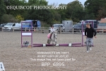 BPP_6895