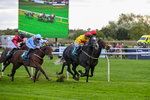 171026-Race 5-Brighton Boy-5972
