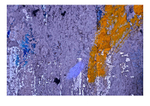 Abstract 7