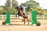 SBM_003981
