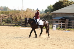 SBM_009284