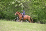 WJ6_1610