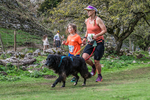 Dovedale-2012