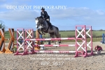 CLASS 8 Senior Newcomers/ 1.10m Open portfolio