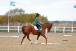 SBM_002585