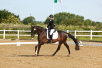 SBM_006953