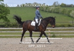 BPP_6511