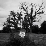 Private Land, Salhouse
