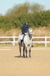 SBM_000190