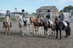 North Showjumping_2016-12