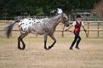 WJ6_8526