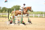 SBM_004390