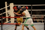 box 041008-36