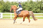 SBM_002772