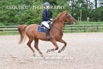 BPP_8171