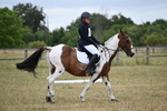 WJ6_9887