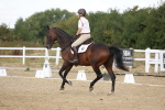 SBM_009072