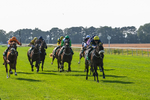 300824-Race 5-Shesashambles-6186