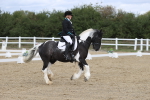 SBM_002208