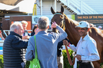 300926-Race 4-Diamont Katie-6627