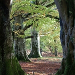 Landscape-053