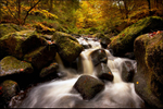 Wyming Brook Falls in autumn