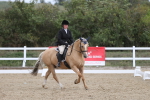 SBM_002904