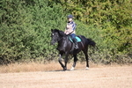 WJ6_7336