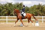 SBM_006221