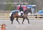 BPP_8610
