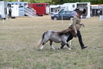 WJ6_6860