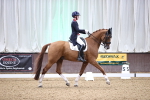 SBM_009205
