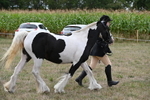 WJ6_5727