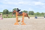 BPP_2667