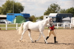 SBM_04559
