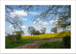 Farnsfield portfolio